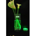 LED gaismas 